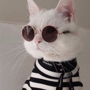 Meet your Posher, Beaux